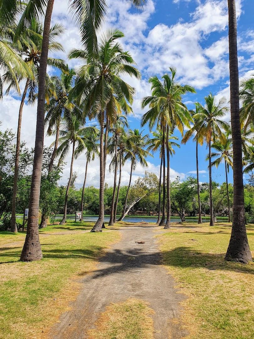 La Cocoteraie - Photo 2